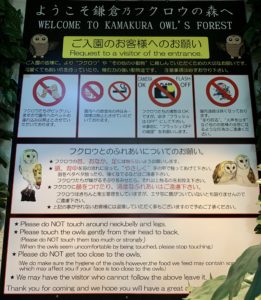 【鎌倉】フクロウの森 入場後の注意点