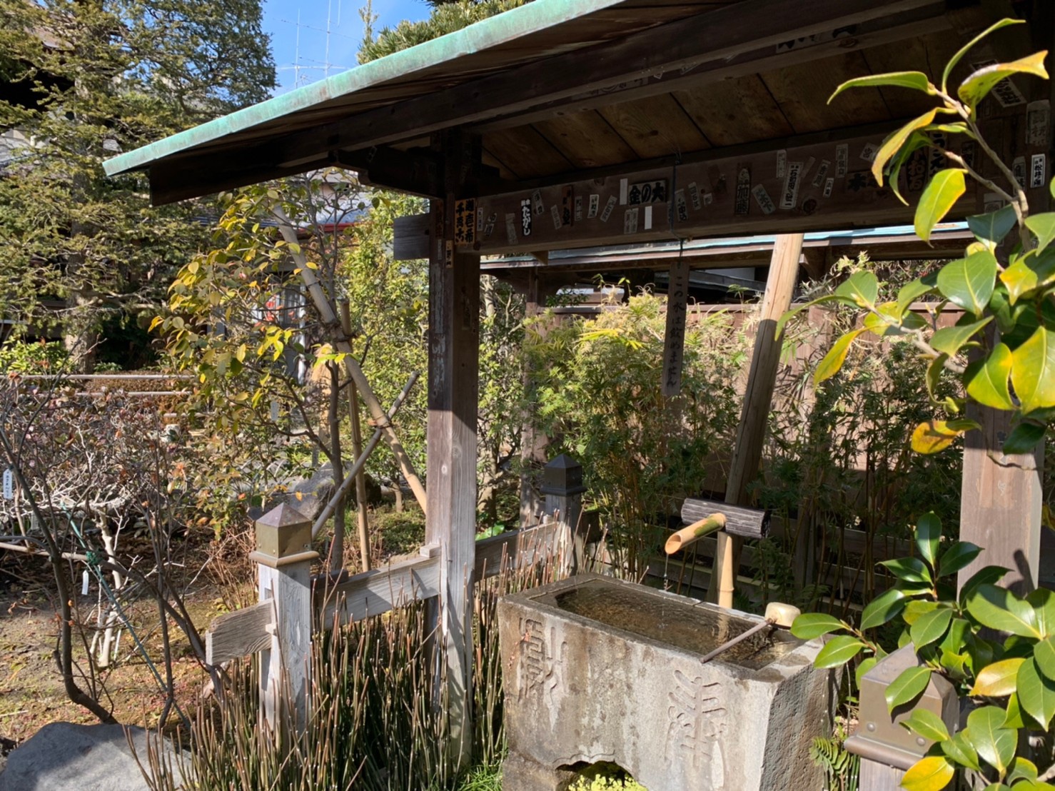 【おんめさま】安産祈願で有名な大巧寺にお礼参りに行ってきた！【鎌倉】 たぬ子、時々たぬ吉