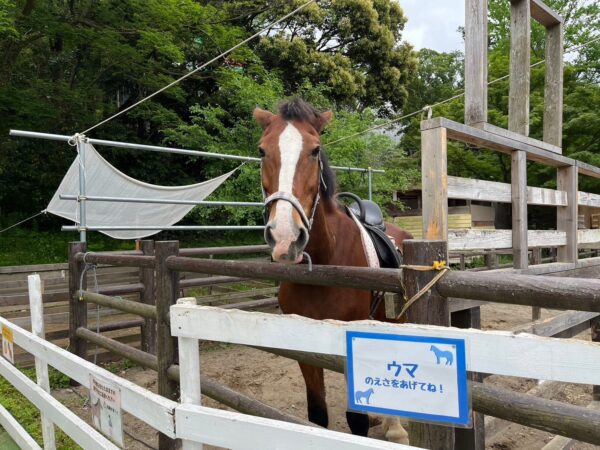 千葉市動物公園