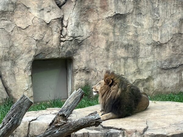 千葉市動物公園