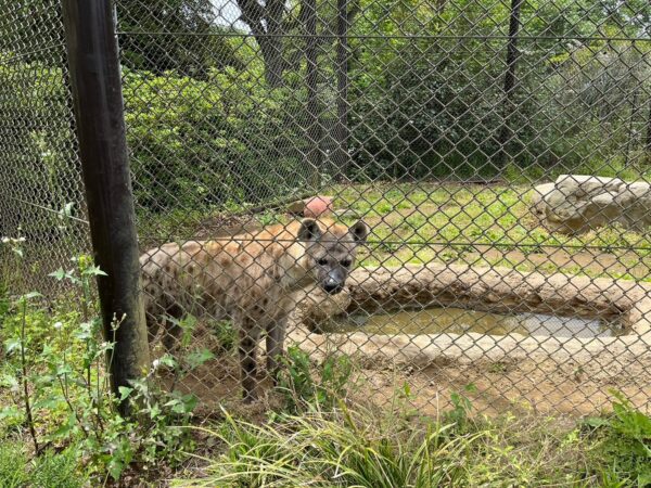 千葉市動物公園