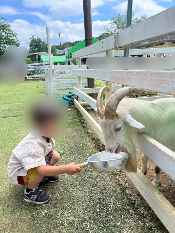 千葉市動物公園