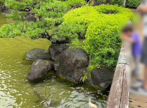 日本庭園 「見浜園」