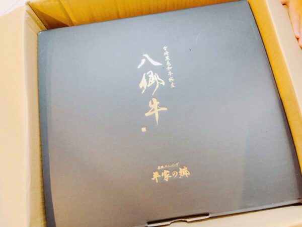 宮崎県の創業40年老舗ハンバーグ店「平家の郷」の八郷牛