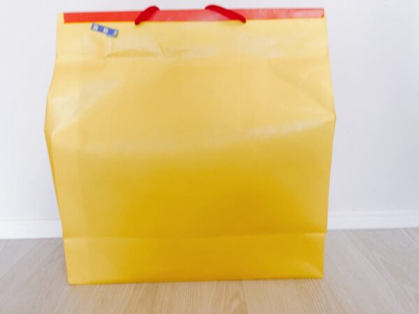 【2026福袋】レゴ ハッピーバッグ9,999円の中身ネタバレ